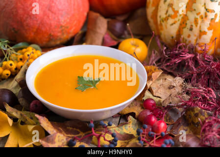 Herbstliche Kürbissuppe in weiße Schüssel auf farbigen Hintergrund. Stockfoto