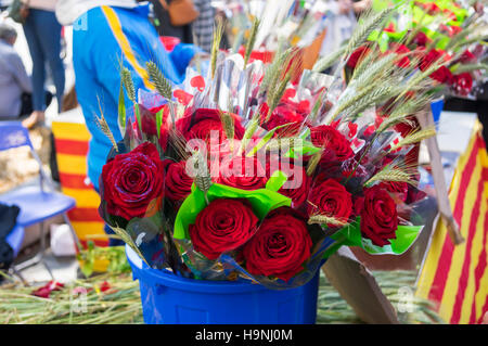 Rote Rosen für den Verkauf auf Diada de Sant Jordi (St.-Georgs Tag), 23 April, in Barcelona, Katalonien, Spanien. Stockfoto