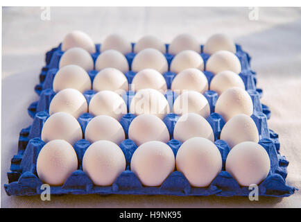 Weißen Eiern im blauen Korb Stockfoto