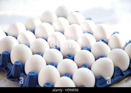 Weißen Eiern im blauen Korb Stockfoto