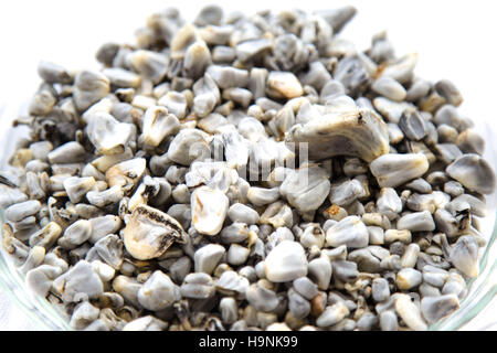 Cuitlacoche - mexikanisches Essen, Pilz gegessen, in der Regel als Füllung, in Quesadillas und anderen Tortilla-Beikost und Suppen. Stockfoto