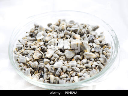 Cuitlacoche - mexikanisches Essen, Pilz gegessen, in der Regel als Füllung, in Quesadillas und anderen Tortilla-Beikost und Suppen. Stockfoto