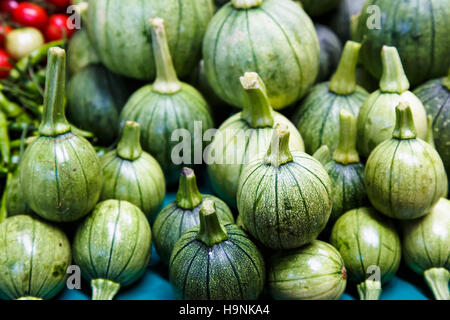 Mexikanische Squash auf einem Markt von Acapulco, Mexiko Stockfoto