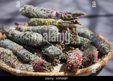 Blauer Salbei Stick - Native American Herbal Medicine Stockfoto