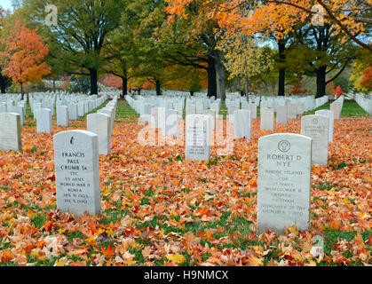 Grabsteine am Nationalfriedhof Arlington, Washington DC, Vereinigte Staaten von Amerika Stockfoto