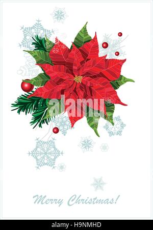 Roten Weihnachtsstern Blume realistische Vektor Illustration Postkarte Stock Vektor