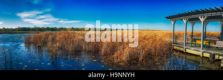 Panoramablick über Point Pelee Nationalpark Promenade im Herbst, Ontario, Kanada Stockfoto