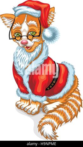 Katze Santa Claus. Vektor-Illustration isoliert auf weiss. Stock Vektor