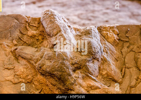 Dinosaur tracks an Dinosaurier Discovery, Farm Johnson, St. George, Utah, USA. Stockfoto
