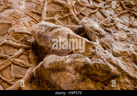 Dinosaur tracks an Dinosaurier Discovery, Farm Johnson, St. George, Utah, USA. Stockfoto