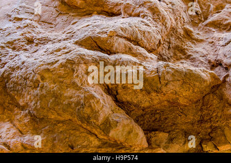 Dinosaur tracks an Dinosaurier Discovery, Farm Johnson, St. George, Utah, USA. Stockfoto