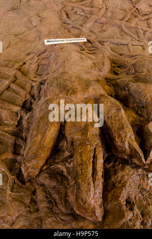 Dinosaur tracks an Dinosaurier Discovery, Farm Johnson, St. George, Utah, USA. Stockfoto