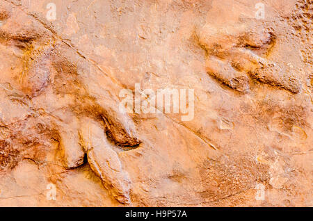 Dinosaur tracks an Dinosaurier Discovery, Farm Johnson, St. George, Utah, USA. Stockfoto