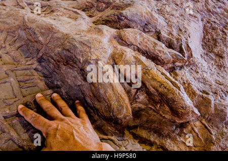 Dinosaurierspuren bei Dinosaur Discovery, Johnson Farm, St. George, Utah, USA. (MR) Stockfoto