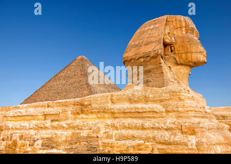 Die Sphinx in Gizeh, Kairo, Ägypten Stockfoto