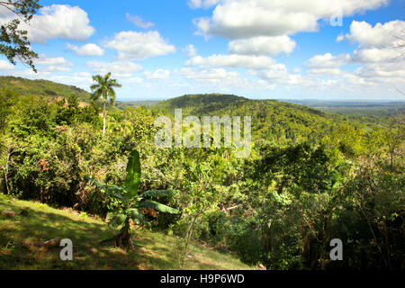 Wunderschöne Landschaft von Las Terrazas, Viñales, Kuba mit sanften Hügeln mit üppiger Vegetation bedeckt. Stockfoto