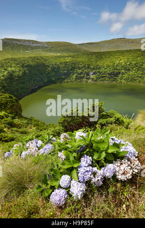 Azoren-Landschaft mit See in der Insel Flores. Caldeira Funda. Portugal. Vertikal Stockfoto