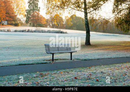 Szene von Frost bedeckt leere Parkbank im Herbst Stockfoto