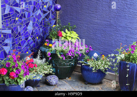 Lila Wand und Blumenecke, Kanada Stockfoto