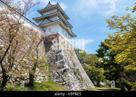 Japan, Akashi schloss, AKA Kishun-jo. Ishigaki Steinwand mit weißem Putz, shikuri dobei, Oberteil und 3-stöckige Tatsumi yagura, Revolver, blauer Himmel. Stockfoto