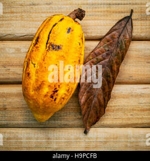 Reife Indonesiens Kakao Setup auf rustikalen hölzernen Hintergrund. Stockfoto