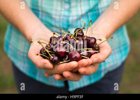 Frau mit reifen Kirschen hautnah Shooting Stockfoto