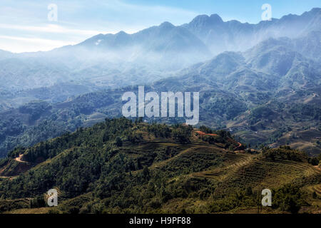 Reis Terrassen, Lao Chai, Sapa, Vietnam, Asien Stockfoto