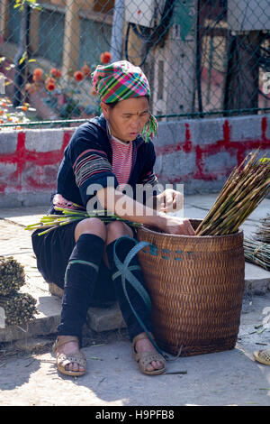 ethnische Black Hmong-Frau in der Stammes-Dorf Lao Chai in Sapa, Vietnam, Asien Stockfoto