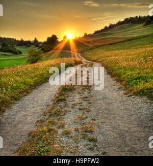 Idyllic sunset on dusty road in countryside Stockfoto