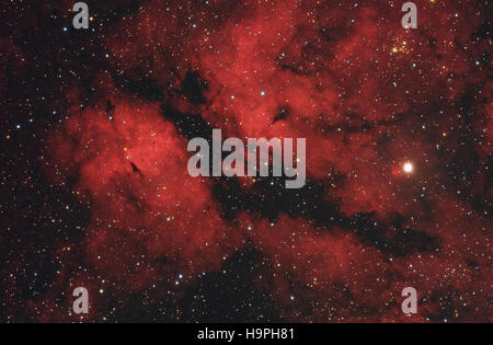 Schmetterling-Nebel im Sternbild Cygnus, ionisierten Wasserstoff Region, IC1318 in der Nähe von Sadr star - mit speziellen Kamera aufgenommen Stockfoto