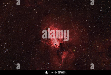 Omega, Blumenkohl, Häkchen, Schwan-Nebel im Sternbild Schütze, Schatz Schütze - mit speziellen Kamera aufgenommen Stockfoto