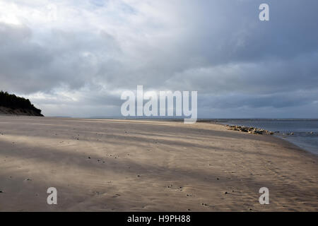 Dichtungen finden sich am Strand in Findhorn, Schottland Stockfoto