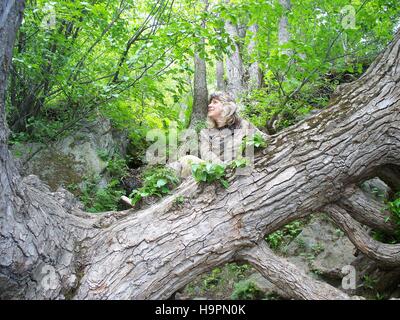 Happy Tree Hugger In einem Baum Stockfoto