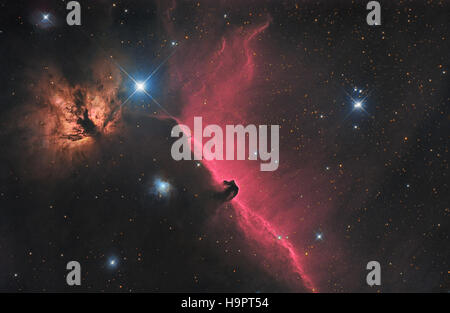 Pferdekopf (B33 gegen IC 434) und Flamme (NGC 2024)-Nebel im Sternbild Orion Stockfoto