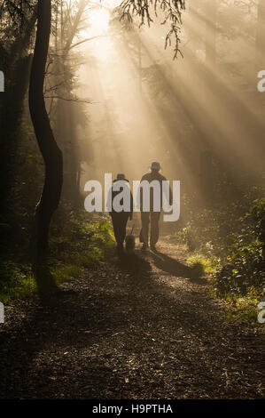 Paare mittleren Alters, die auf einem Waldweg mit einem Hund an der Leine unter Crepuscular Light am frühen Morgen, Shore Acres State Park, Oregon oder, USA, spazieren gehen. Stockfoto