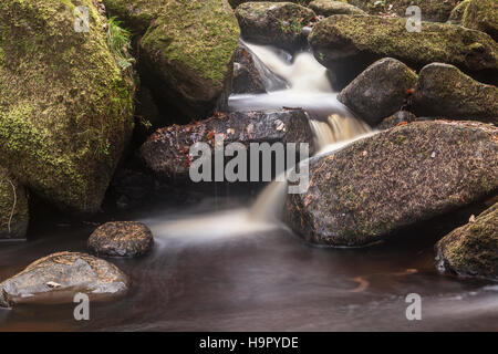 Padley Schlucht im Peak District. Stockfoto