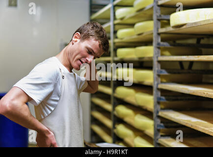 Evillers, Frankreich - 31. August 2016: Worker bei Lagerhaus von Comte Käse Reifung Keller in Franche Comte Molkerei in Frankreich Stockfoto