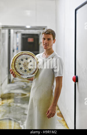 Evillers, Frankreich - 31. August 2016: Arbeiter hält ein Rad de Comte Gruyere Käse im Lagerhaus in Franche Comte Molkerei in Frankreich Stockfoto