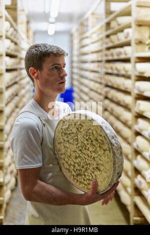 Evillers, Frankreich - 31. August 2016: Käser hält ein Rad von Comte Käse Reifung Keller in Franche Comte Molkerei in Frankreich Stockfoto