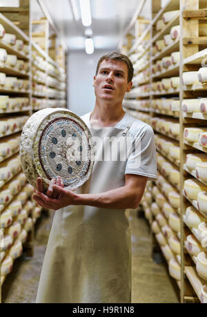 Evillers, Frankreich - 31. August 2016: Käser hält ein Rad von Comte Käse Reifung Keller in Franche Comte Molkerei in Frankreich Stockfoto