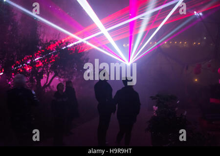 Eden Project, Cornwall, UK. 24. November 2016. Das Festival von Klang und Licht öffnet für die Weihnachtszeit im Eden Project mit einem fantastischen Laser Display. Bildnachweis: Simon Maycock/Alamy Live-Nachrichten Stockfoto