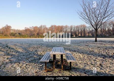 Maxwell Park, Glasgow, Schottland, Großbritannien. 25. November 2016. Eisige Temperaturen weiter mit Tagestemperaturen kämpfen, um über Null Grad steigen. Stockfoto