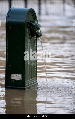 Turin, Italien. 25. November 2016: ein öffentlichen Brunnen (genannt "Toret" wegen seiner Form typisch für Turin-Stadt) ist nach dem Hochwasser des Po Flusses wegen schlechten Wetters in Turin in das Wasser getaucht. Bildnachweis: Nicolò Campo/Alamy Live-Nachrichten Stockfoto