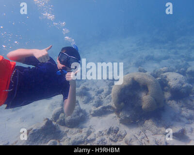 Turks- und Caicosinseln, Karibik. 24. November 2016. Justin Mennig der Vereinigten Staaten findet brain Coral wie er schnorcheln im Urlaub/Ferien für Thanksgiving in Turks- und Caicosinseln Credit: Don Mennig/Alamy leben Nachrichten Stockfoto