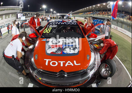 Losail International Circuit, 25. November 2016.  Yvan Muller mit seinem Citroen WTCC-Auto in der Startaufstellung für Rennen 1 der letzten Runde der FIA WTCC Kredit: Tom Morgan/Alamy Live News Stockfoto