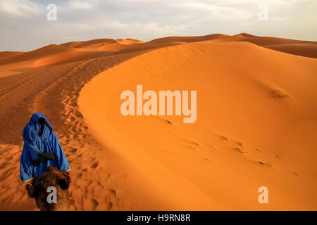 Berber führt ein Kamel in den beeindruckenden Sanddünen der Wüste Sahara in Merzouga, Marokko Stockfoto