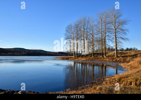 Blick auf ruhigem Wasser in einem See mit kleinen dünnen Eis blauer Himmel und einige Baum stand in der Nähe der Küste. Stockfoto