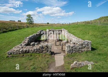 Tempel des Mithras aus dem 3. Jahrhundert, Hadrianswall, Carrawburgh, Northumberland, England, Vereinigtes Königreich Stockfoto