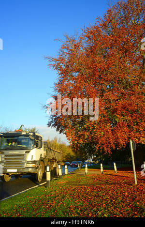 LKW Reisen über Land bis zum Herbst farbige Bäume in der Nähe von York Yorkshire UK Stockfoto