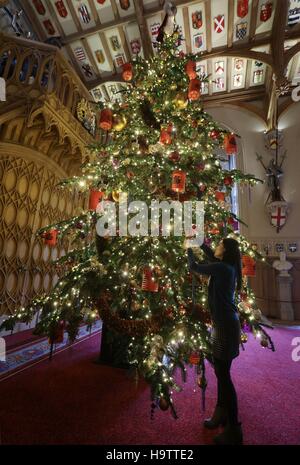 Royal Collection Trust Bedienstete verleiht den letzten Schliff ein 20ft Nordmann-Tanne in St Georges Hall, als Teil der Weihnachtsschmuck in Windsor Castle, Berkshire aufgestellt wird. Stockfoto